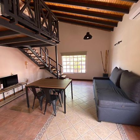 Luxury Loft Apartment Mendoza Exterior photo